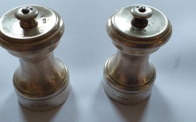 Salt and pepper shakers (2) - .925 silver - Thomas Bradbury & Sons Ltd - Sheffield - England - First half 20th century