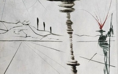 Salvador Dali (1904-1989) - The Taming of the Shrew