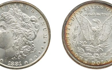 Silver Dollar, 1881-CC, NGC MS 65 CAC