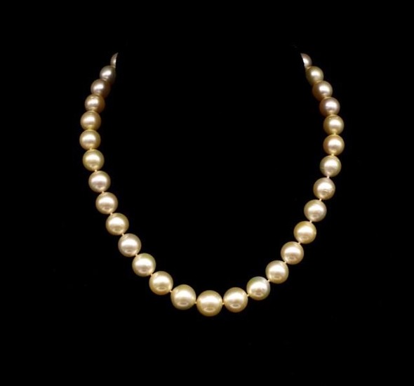South sea golden pearl necklace with a yellow gold and diamo...