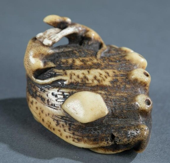 Stag horn netsuke of two rats, 19th century.