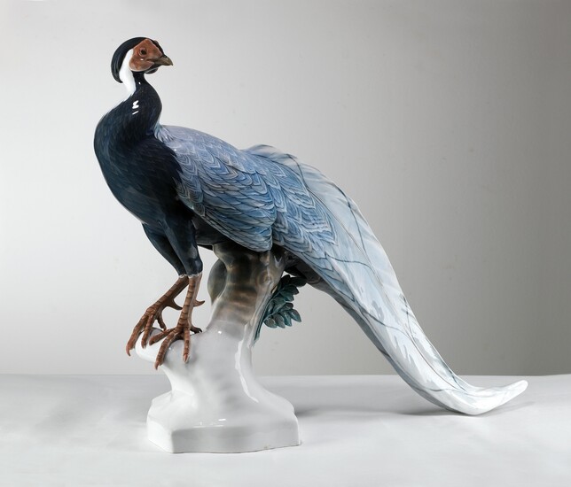 Theodor Kärner, a large silver pheasant, model: 1923, executed by Rosenthal Porcelain Manufactory, Selb, c. 1930