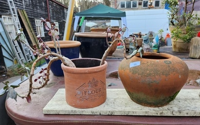Two terracotta plant pots