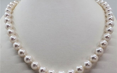United Pearl - Top grade AAA 9x9.5mm Akoya Pearls - 14 kt. White gold - Necklace