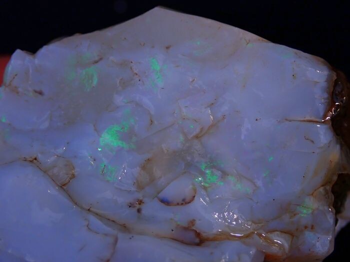 VERY RARE NEW FIND Opalized Agate 1707.5ct - 81.85×68.06×62.03 mm - 341.5 g