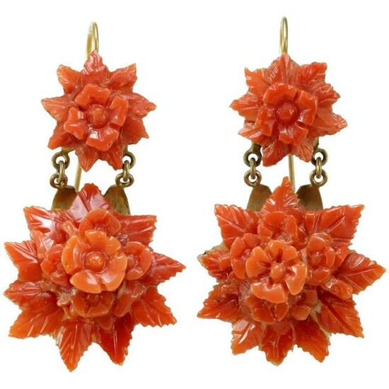Victorian coral 14K gold earrings