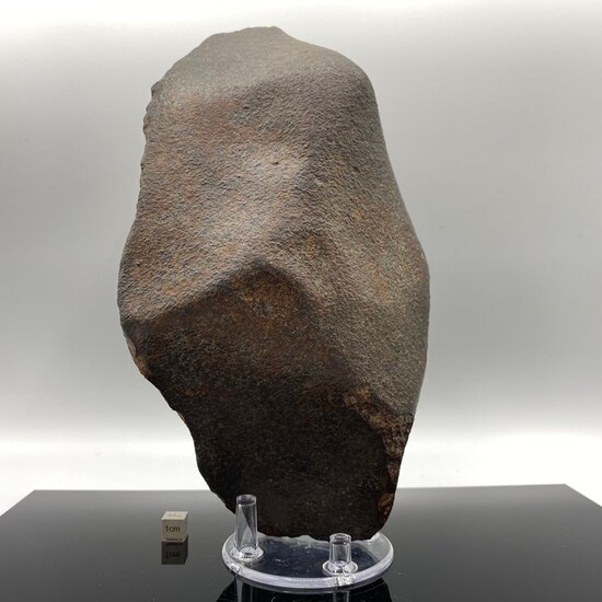 XXL MUSEUM !! Condrita NWA Type H Meteorite - 4 kg