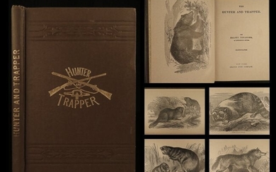 1868 1ed Hunter & Trapper BEAR Hunting Illustrated