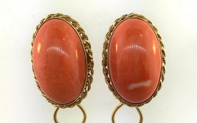 Beautiful Oval Coral Earrings Earrings Cradled in