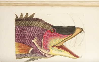 Catesby, Mark | The "most famous colorplate book of American plant and animal life..."