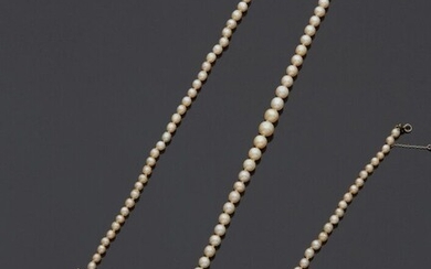 Collier de 126 perles fines, disposées en chute de 7,5 mm à 4,3 mm de...