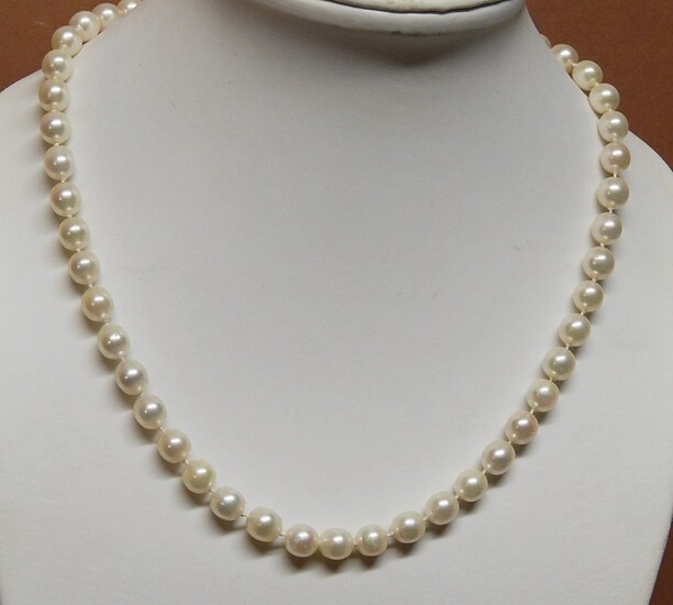 Collier de perles de culture avec fermoir en or blanc 585, diamètre des perles env.0,6cm,...
