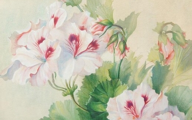 Edward Hurst, American 1912-1972- Pelargoniums; watercolour and pastel heightened with white, signed lower left, 39.5 x 37 cm. Provenance: with the Tryon Gallery, London, according to the label affixed to the reverse.