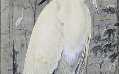 Fuertes watercolor of Snowy Egret