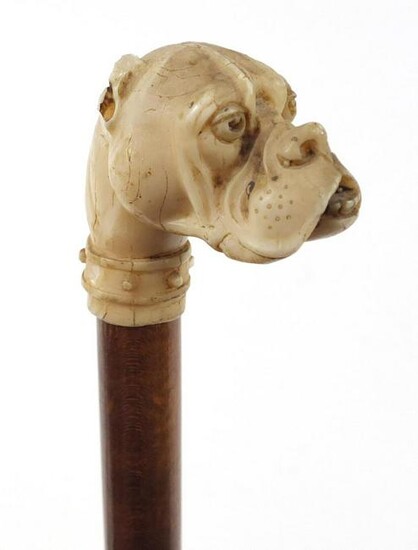Hardwood walking stick with Boxer dog's head design