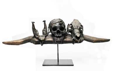 Ifugao Human Trophy Skull.