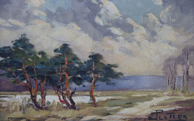 Jan Peeters (Netherlands, 1912-1992) - Landscape, Oil on Canvas.