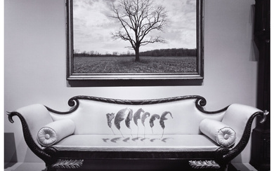 Jerry Uelsmann (1934-2022), Untitled (Leaves on Couch) (1987)
