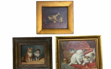 Lot of Three Oil Painting on Boards of a Cats Portrait