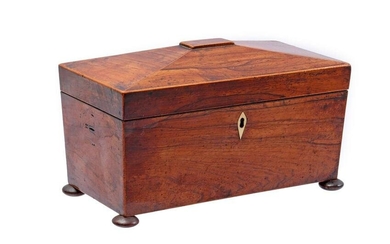 Mahogany box with holder for a round bus and 2 trays