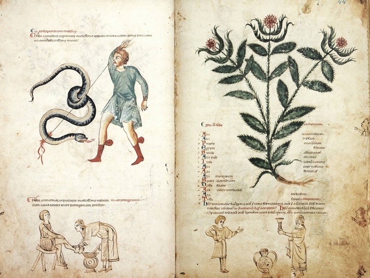 [Medieval manuscripts]. Medicina Antiqua. Graz, Akademische Druck- u. Verlagsanstalt, 1978,...