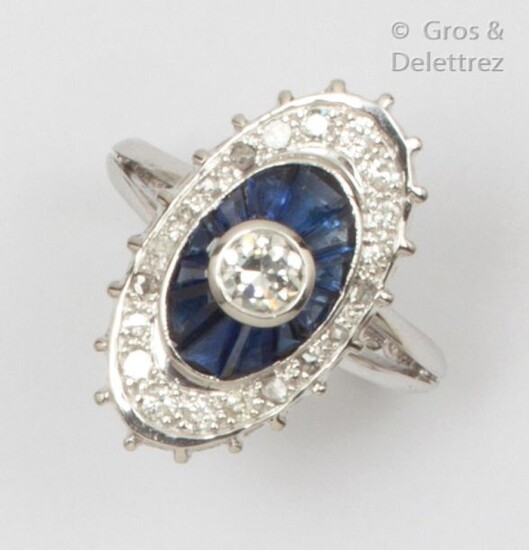Oval ring in white gold, set with a brilliant-cut diamond in a double surround of calibrated sapphires and smaller diamonds. Finger size: 52. P. Brut: 7.3g.
