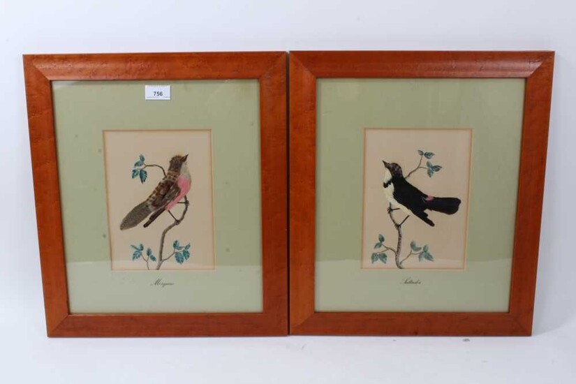 Pair of 19th century style feather bird pictures