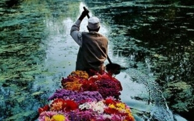 STEVE MCCURRY Flower Seller. Dal Lake, Srinagar, Kashmir. 1996.