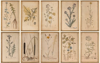 TEN BOTANICAL PRINTS 19th Century Colored lithographs on paper, 18" x 11" sight. Framed 18.75" x