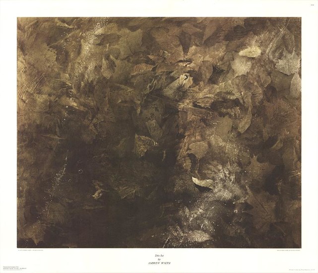 Andrew Wyeth: Thin Ice