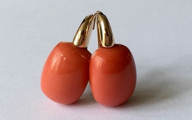 18 kt. Gold - Earrings Coral