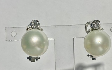 18 kt. White gold - Earrings - 12.50 ct Golden South Sea Pearl - Diamonds