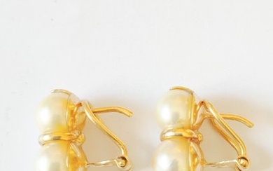 18 kt. Yellow gold - Earrings Freshwater Pearl