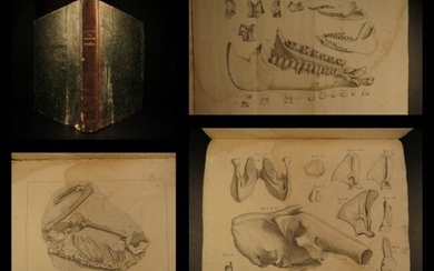 1836 Cuvier Animal Kingdom Fossils Paleontology