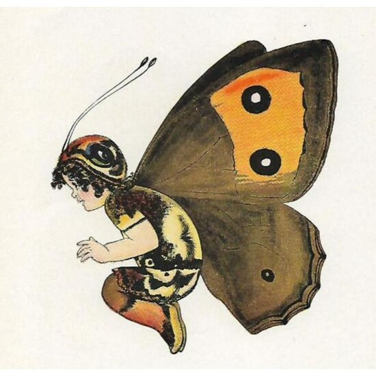 1914 Butterfly Babies Lithograph, Southern Wood-Nymph
