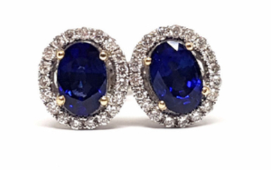 18 kt. White gold - Earrings - 2.00 ct Diamond - Sapphire