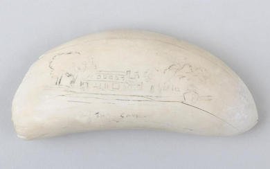 Scrimshaw whales tooth