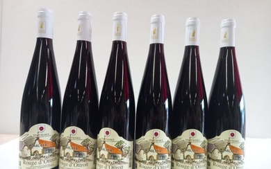 6 bouteilles de Alsace Rouge d'Ottrot. 2019.... - Lot 57 - Enchères Maisons-Laffitte
