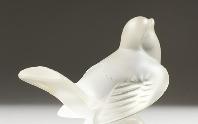 A LALIQUE FROSTED GLASS MODEL OF A BIRD, seated with