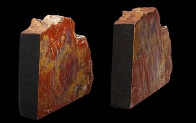 A PAIR OF FOSSILISED WOOD BOOK ENDS