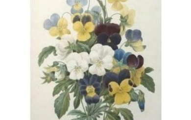 After Pierre-Jospeh Redoute, Floral Print, #97 Pansies