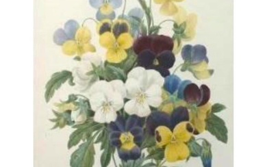 After Pierre-Jospeh Redoute, Floral Print, #97 Pansies
