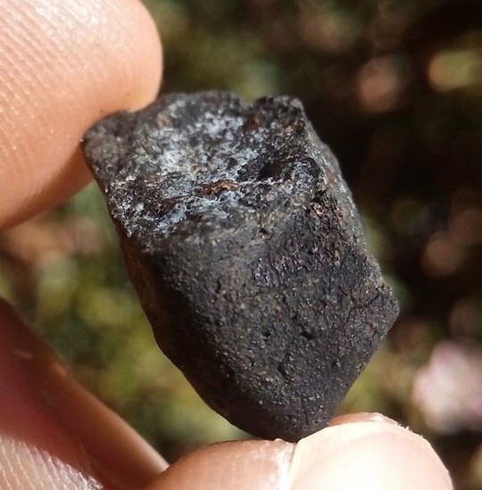 Aguas Zarcas meteorite. CM2. Newest fall. Costa Rica, 24 April - 2.3 g