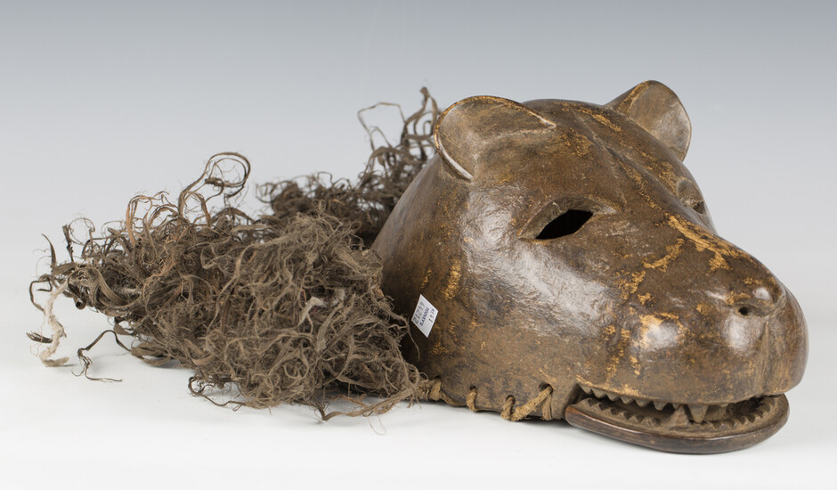 An African carved and stained wooden mask, modelled as a lion's head with articulated mouth and