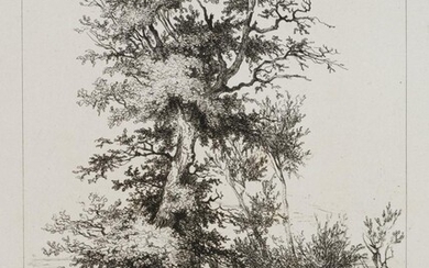 Auguste Enfantin (1793-1827), Landscape with goat, tree and creek, 19th c., Etching