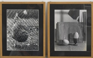 Bauhaus, 2 photographs 'Chicken' and 'Eggs', 1929-33