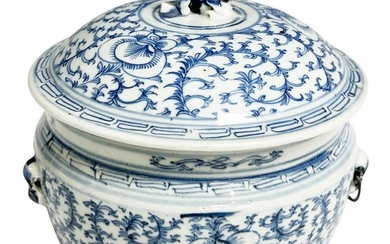 CHINESE 19TH C. BLUE & WHITE PORCELAIN JAR
