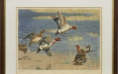 DUCKS IN THE WILD, AN ETCHING BY WINIFRED