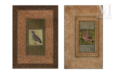 Deux oiseaux indo-persans Inde ou Iran, XVIIIe-XIXe... - Lot 457 - Millon