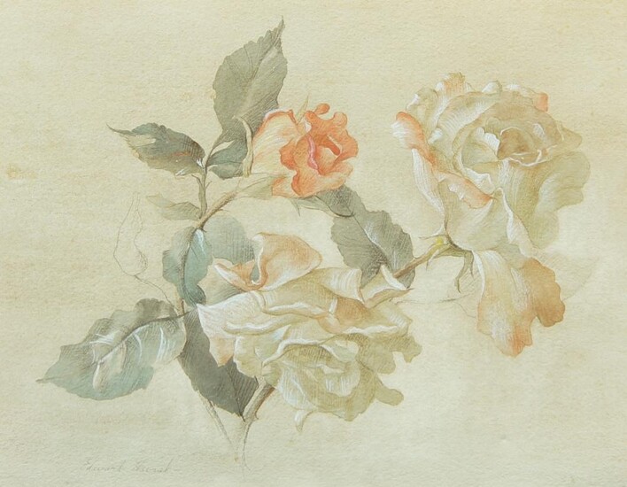 Edward Hurst, American 1912-1972- Botanical study; watercolour heightened with white, signed lower left, 28 x 36 cm